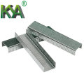 24/6 Galvanized Office Staples Pins